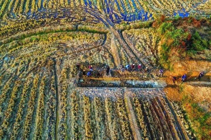 良渚遺址考古發(fā)掘現(xiàn)場(chǎng)。