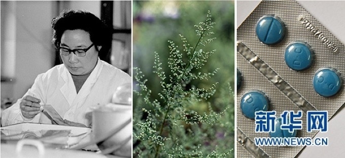 屠呦呦、青蒿和抗瘧疾成藥（拼版資料照片）