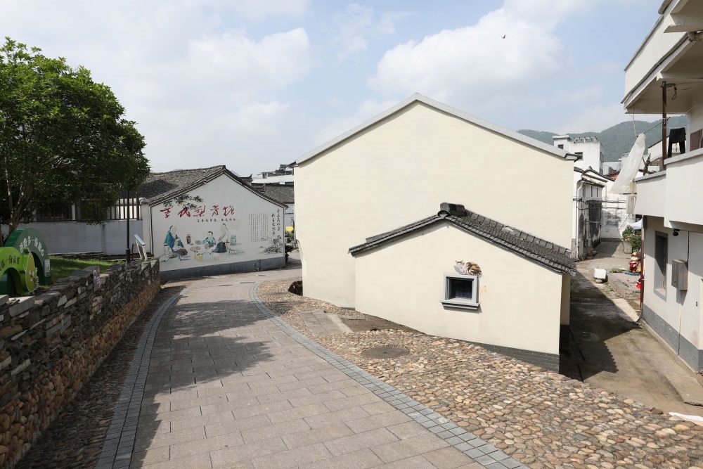 浙江省義烏市李祖村一景（2023年5月23日攝）。新華社記者 杜瀟逸 攝