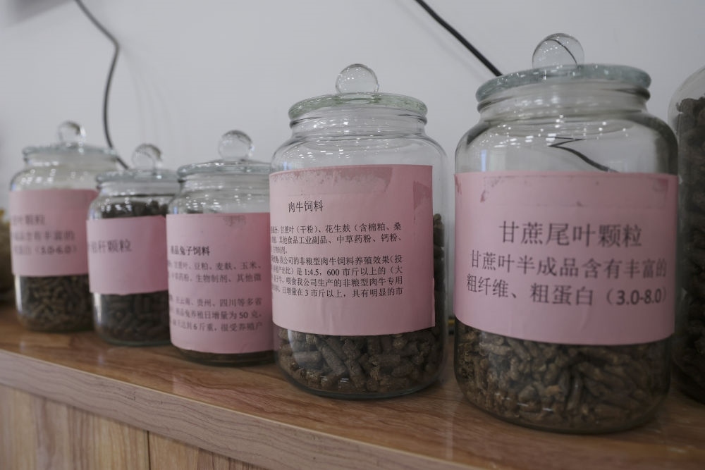 這是12月13日在來賓市興賓區(qū)小平陽鎮(zhèn)一家飼料廠拍攝的以甘蔗尾葉為原料制成的飼料。