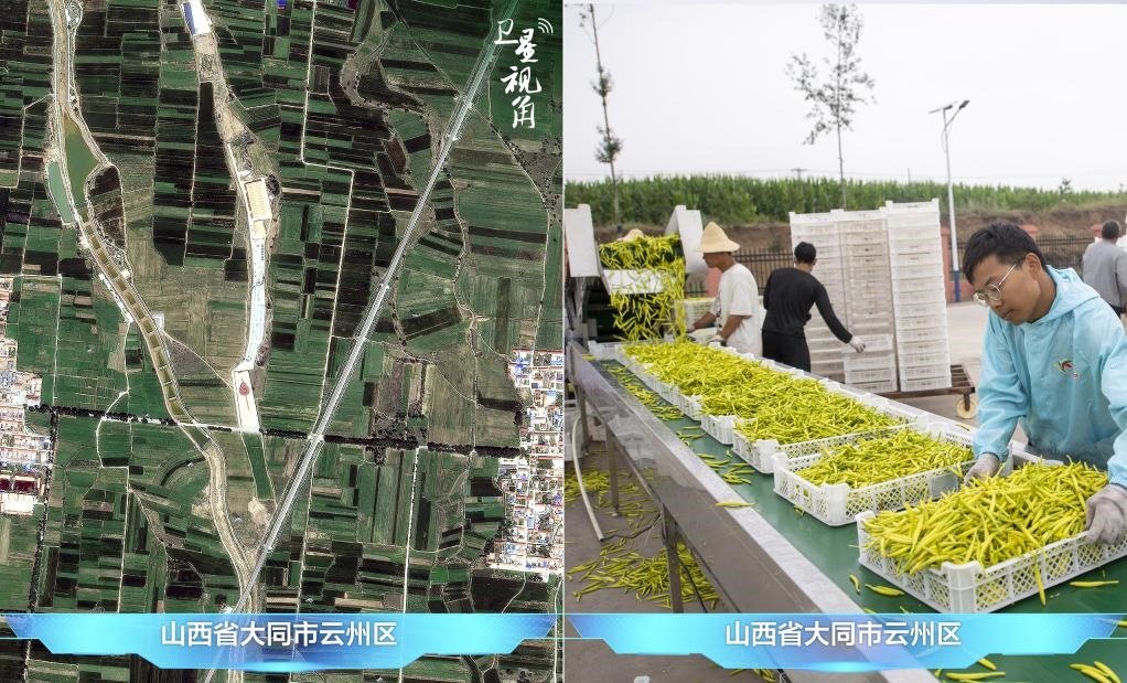 當(dāng)前，大同市開發(fā)黃花菜品、食品、飲品、功能食品、化妝品、文創(chuàng)產(chǎn)品六大系列130余種，全產(chǎn)業(yè)鏈產(chǎn)值超40億元。