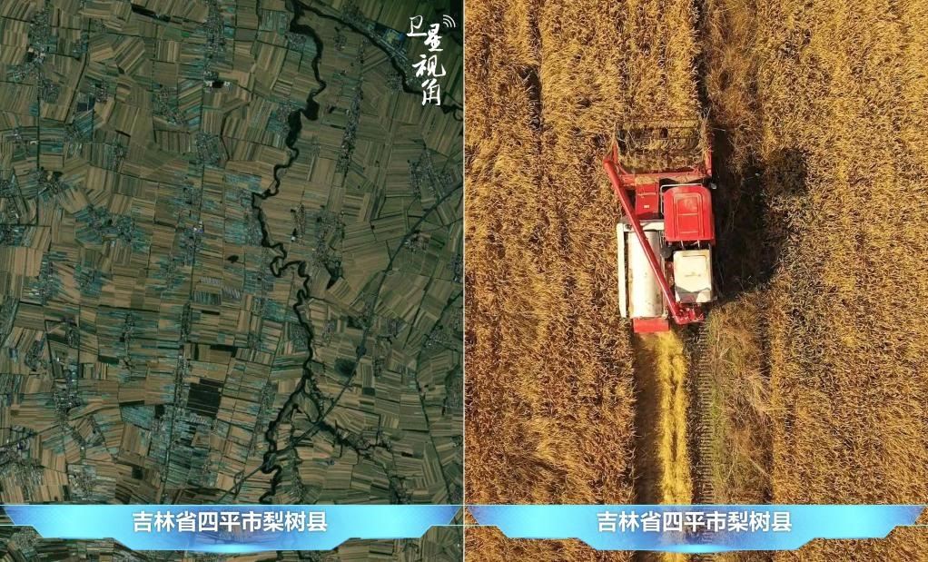 隨著現(xiàn)代化農(nóng)機普及應(yīng)用，保護性耕作“梨樹模式”得以大面積推廣，不僅使黑土地保護與利用持續(xù)深入，更為糧食作物高產(chǎn)穩(wěn)產(chǎn)助力。