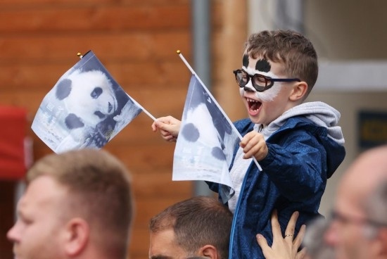  2023年7月26日，在法國圣艾尼昂市博瓦勒野生動物園外，一名兒童等待送別熊貓“圓夢”。新華社記者 高靜 攝