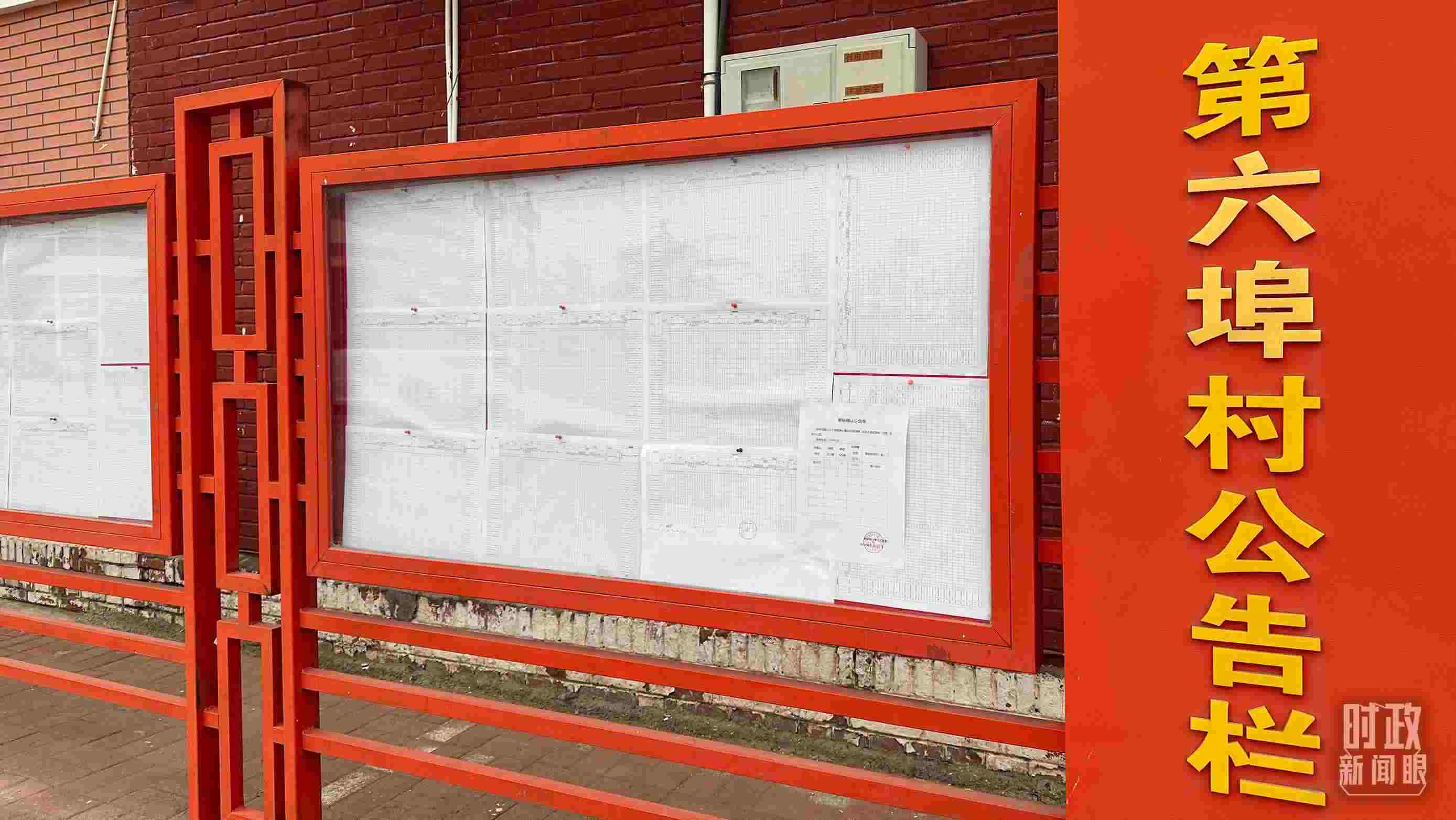 △第六埠村公告欄里張貼著“天津市2023年蓄滯洪區(qū)農作物、經(jīng)濟林補償標準表”等。（總臺央視記者覃思拍攝）