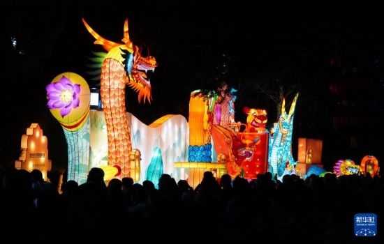 2月11日晚，人們在濟南市趵突泉公園觀賞花燈。