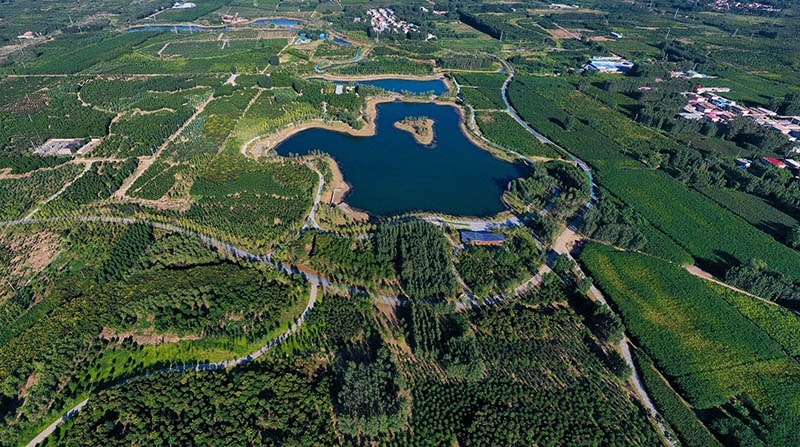 這是2022年9月6日拍攝的雄安新區(qū)“千年秀林”。