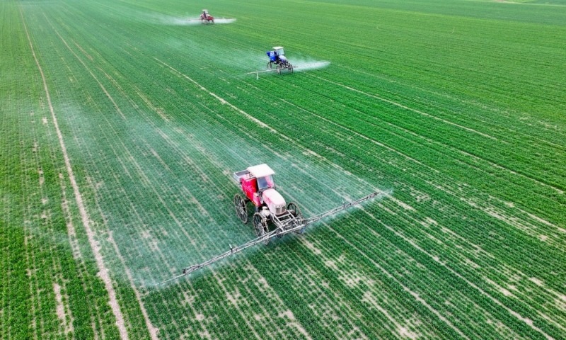 2024年2月18日，安徽省亳州市，利辛縣紀王場鄉(xiāng)孫老家村麥田，農民駕駛自走式高桿噴霧機對小麥進行噴藥作業(yè)。