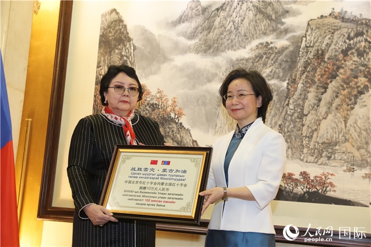 沈大使向?qū)殑跔柆敚ㄗ螅┟貢L轉(zhuǎn)交捐款。人民網(wǎng)記者 霍文攝