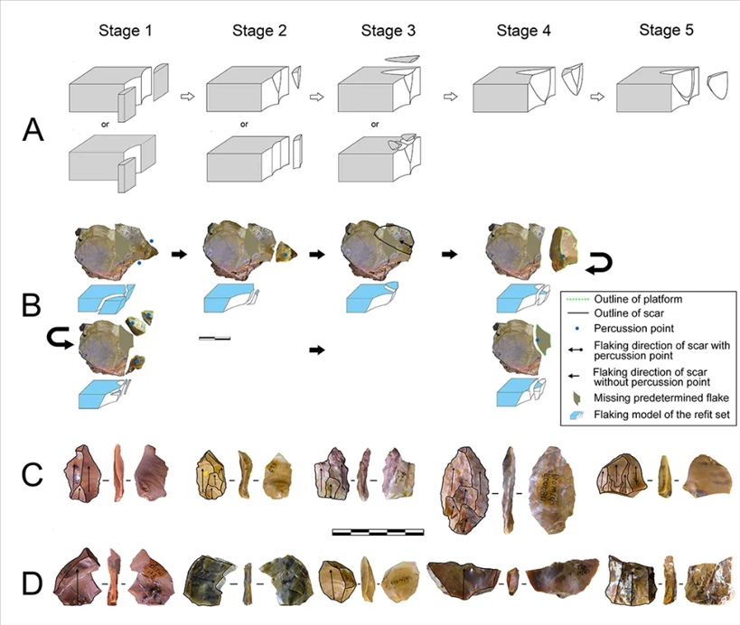 岑家灣遺址“準備石核技術”及相關石制品。（受訪單位供圖）