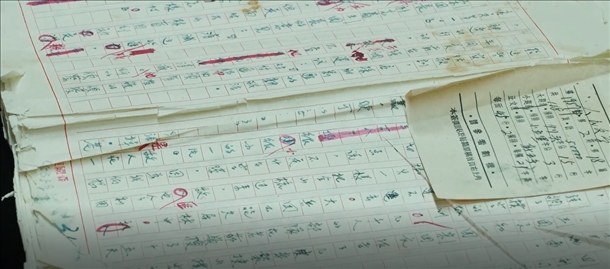 曲波《林海雪原》手稿。主辦方供圖