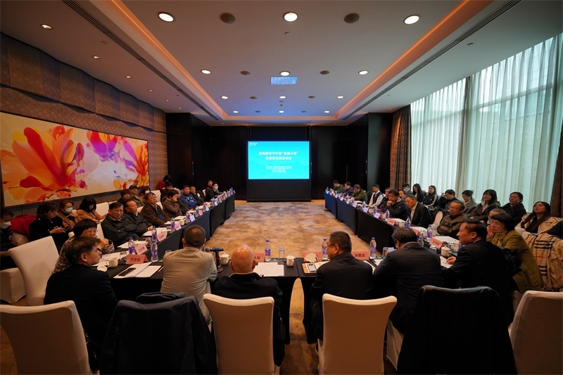座談會現(xiàn)場。主辦方供圖