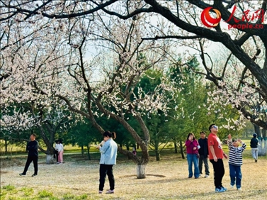 游客在北京長(zhǎng)陽(yáng)公園賞花。人民網(wǎng)記者 劉微攝