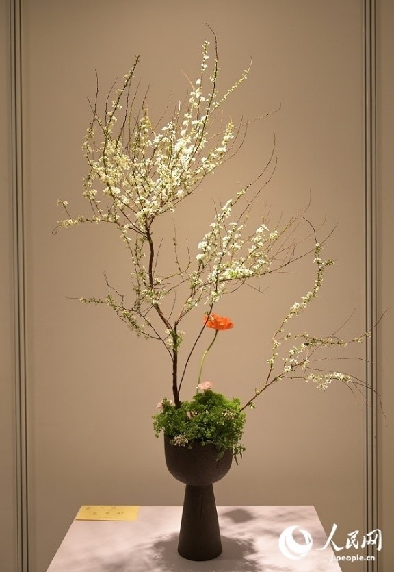 插花作品。人民網 玄番登史江攝