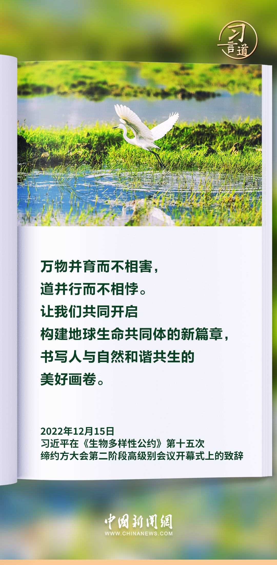 【和諧共生】習(xí)言道|生態(tài)興則文明興