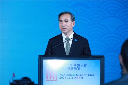 中國貿(mào)促會任鴻斌會長。主辦方供圖