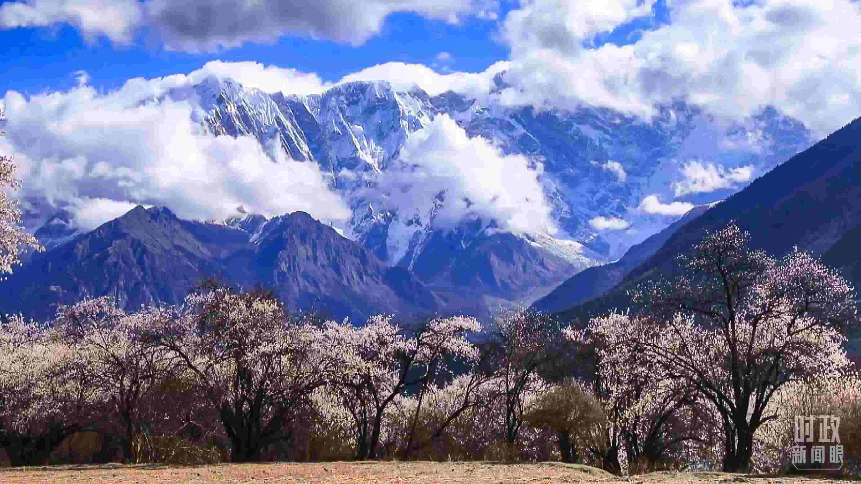 △西藏林芝。（總臺記者李旭拍攝）