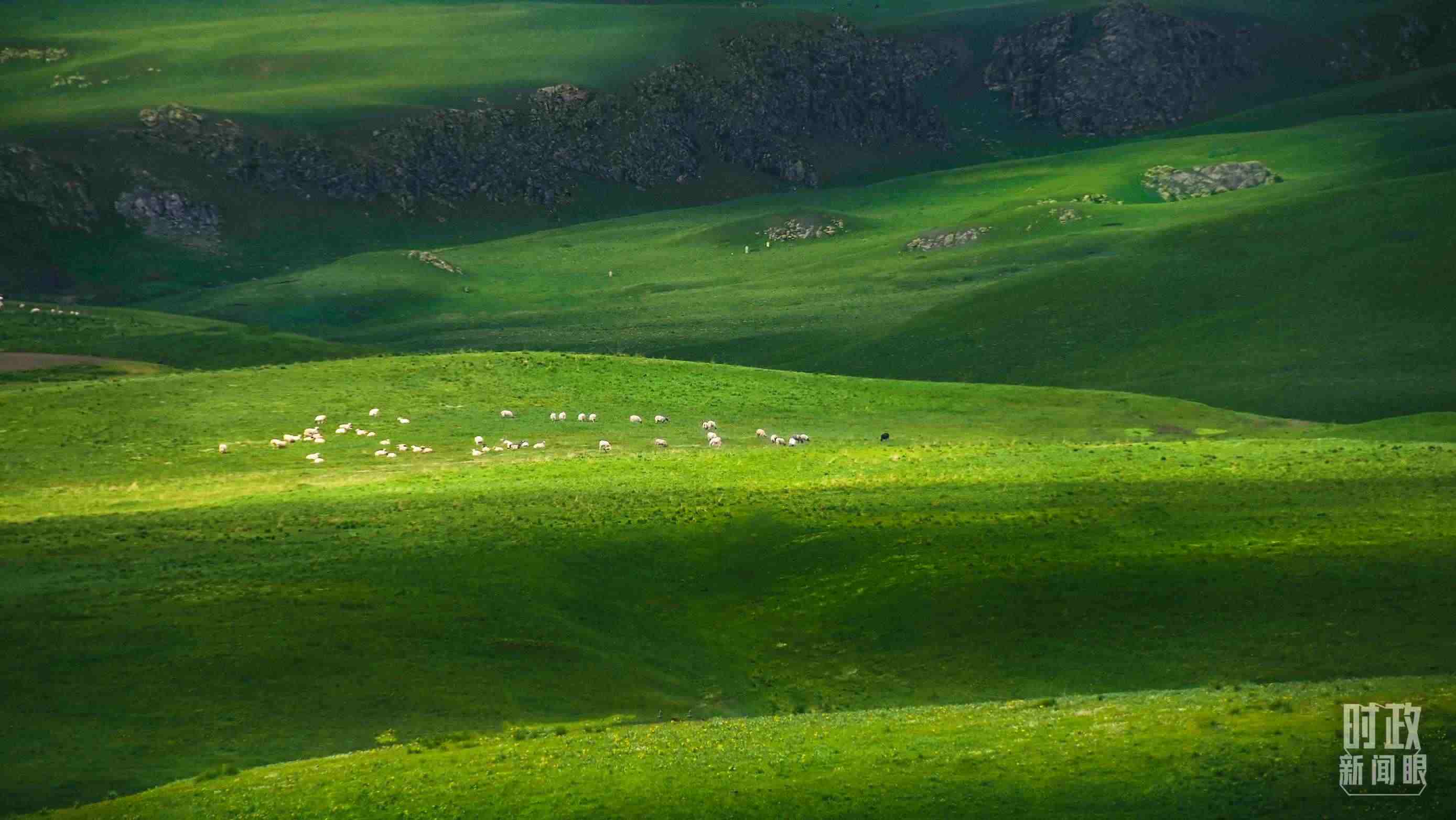 △祁連山草原光影。（圖/視覺中國）