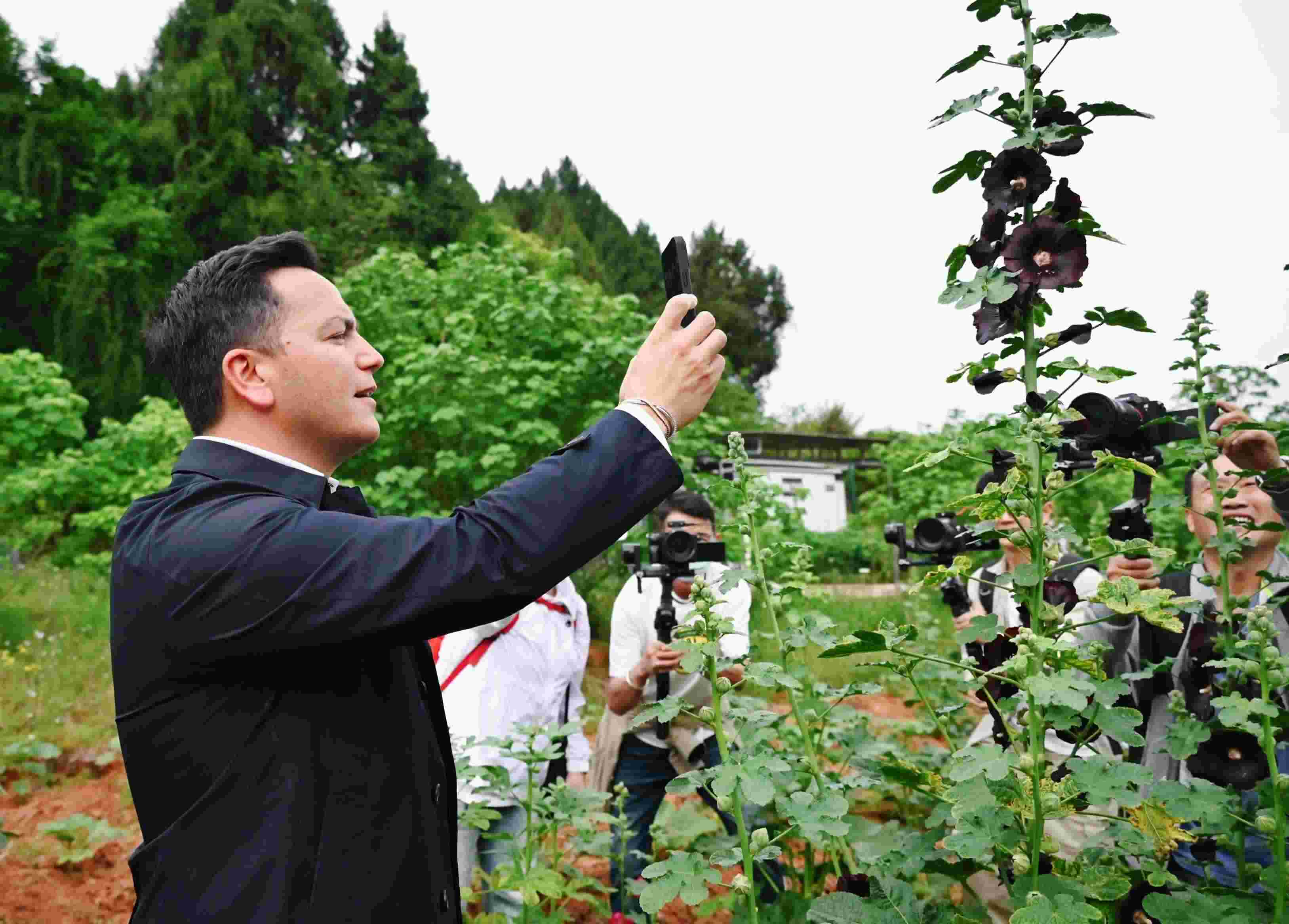  △2024年4月23日，國際園藝生產(chǎn)者協(xié)會主席萊昂納多·卡皮塔尼奧在成都市金堂縣鮮花山谷景區(qū)考察蜀葵產(chǎn)業(yè)。