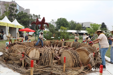 坎波·馬特活動現(xiàn)場。埃內(nèi)斯托·多明戈斯攝