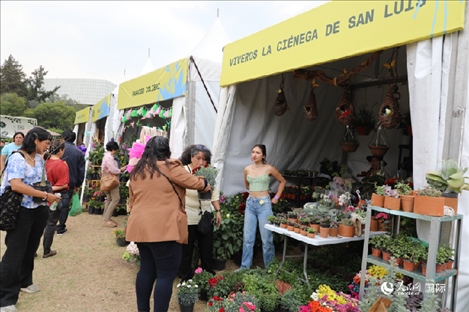 坎波·馬特活動現(xiàn)場。埃內(nèi)斯托·多明戈斯攝