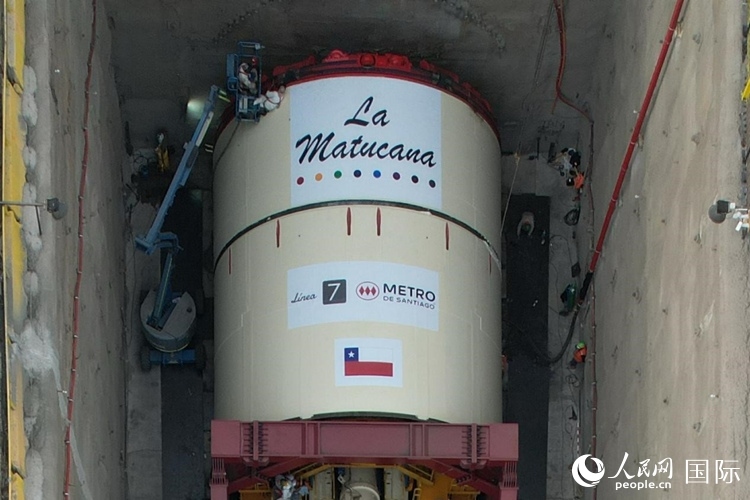 質(zhì)構(gòu)機全景。陳露明攝