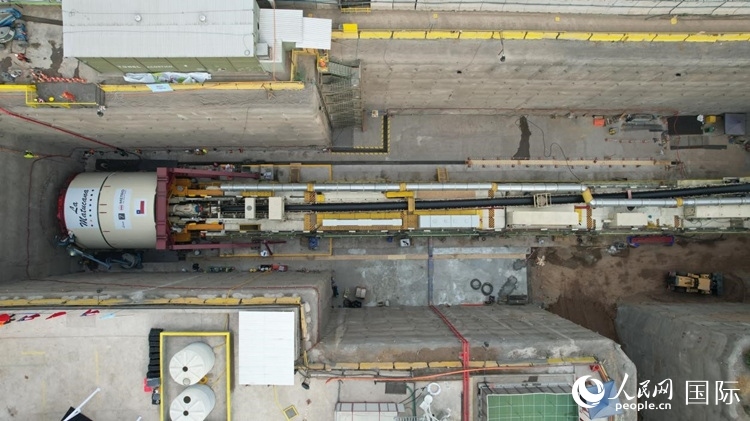 質(zhì)構(gòu)機全景。陳露明攝