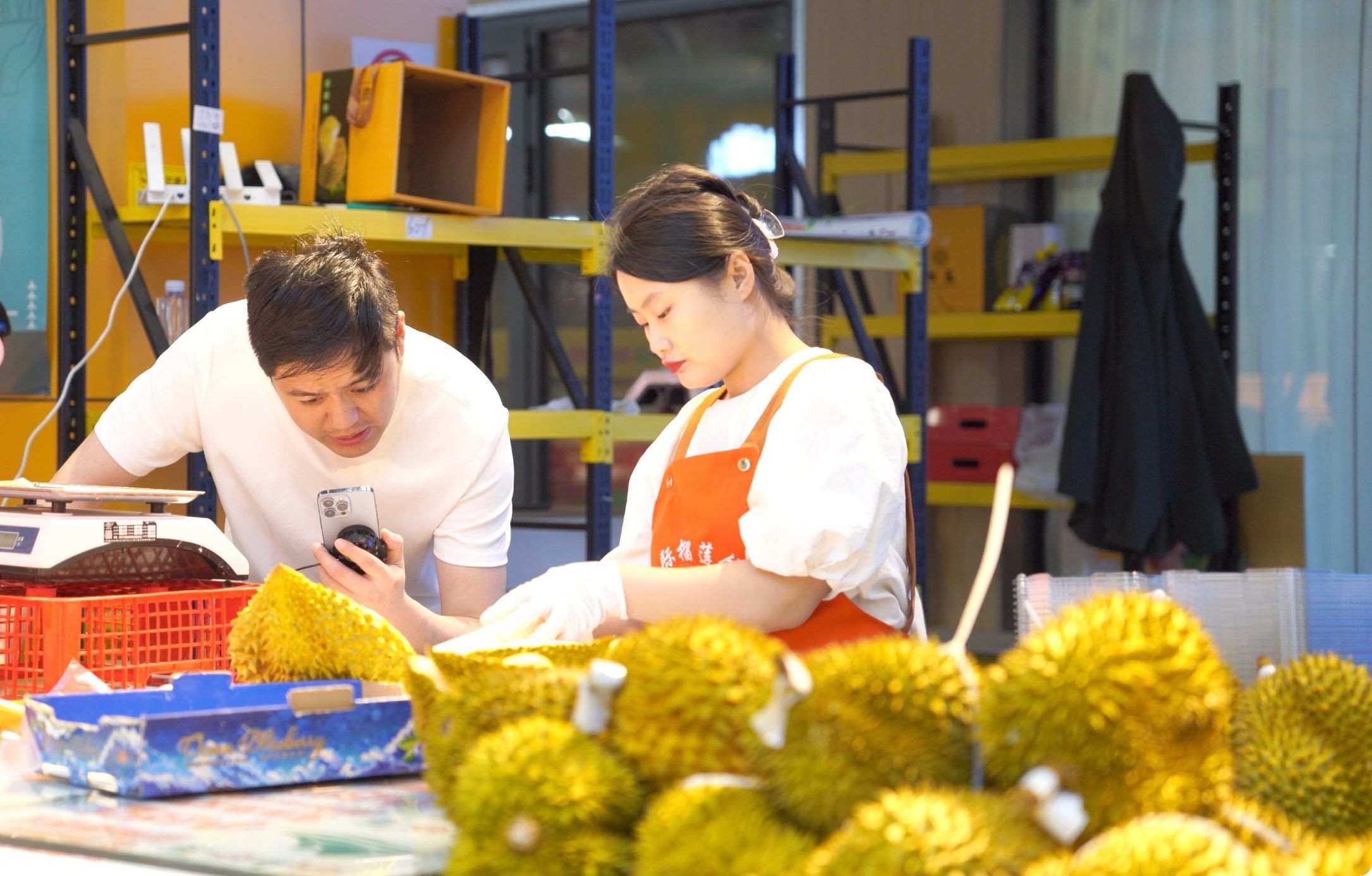 榴蓮商家正在通過手機直播銷售榴蓮。人民網(wǎng)記者申佳平 攝