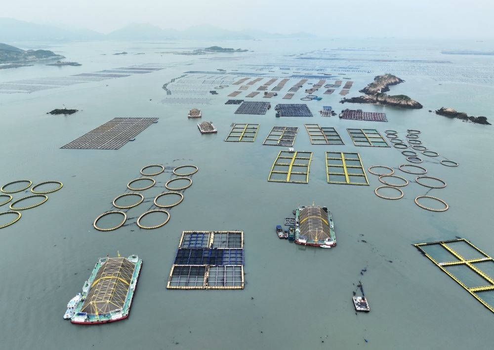 在福建連江定海灣海域，坐落著“定海灣1號”“定海灣2號”等深遠海養(yǎng)殖平臺（2024年5月7日攝，無人機照片）。新華社記者 林善傳 攝