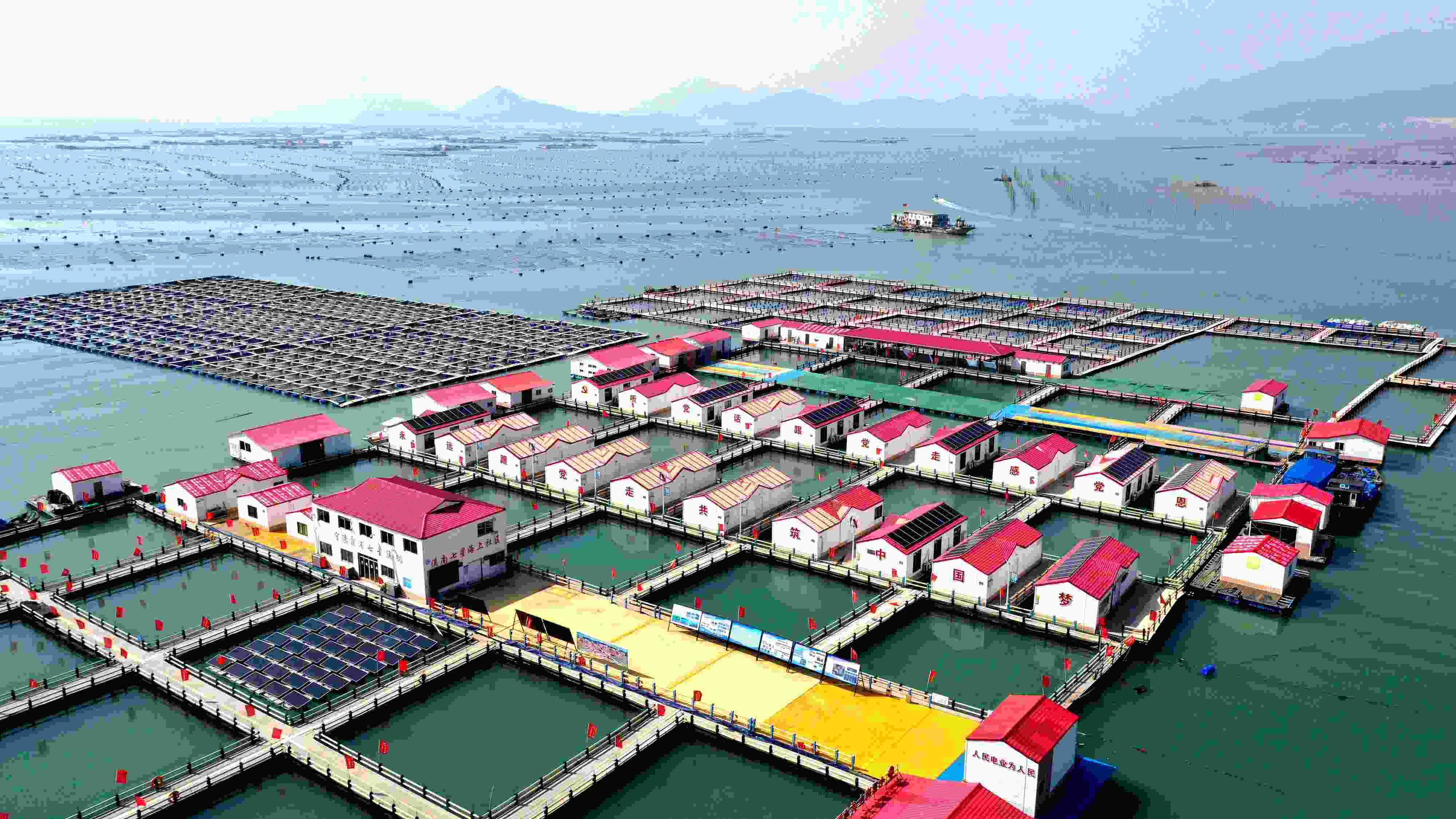 2024年3月20日，福建省寧德市，霞浦縣溪南鎮(zhèn)七星村漁排養(yǎng)殖示范區(qū)，漁民駕駛養(yǎng)殖船進行海參養(yǎng)殖作業(yè)。