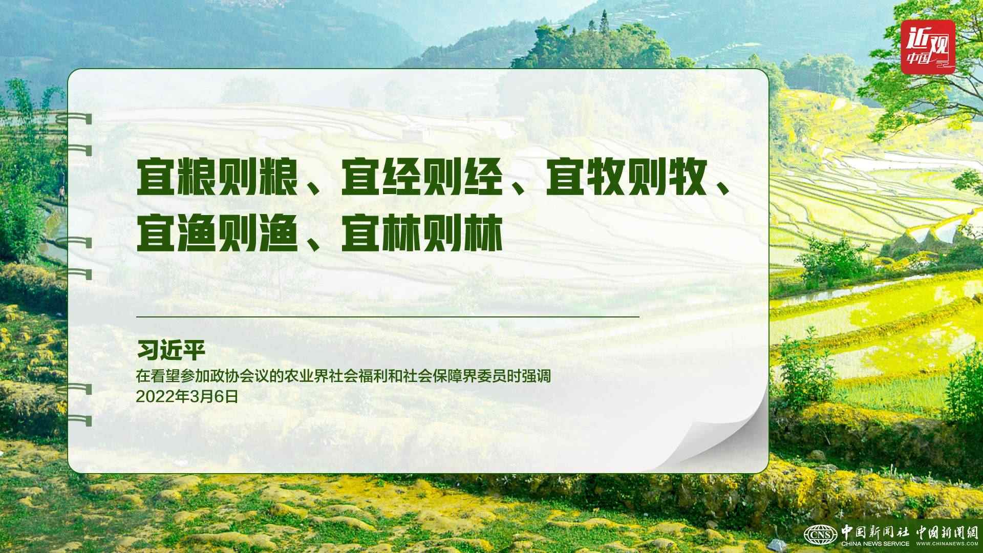 習(xí)近平：樹立大食物觀，構(gòu)建多元化食物供給體系