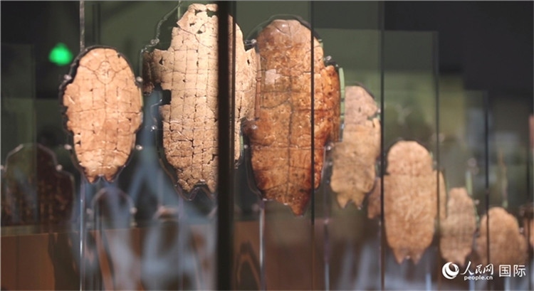 殷墟博物館新館的甲骨展品。人民網(wǎng)記者 劉寧攝