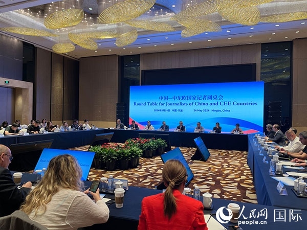 圓桌會現(xiàn)場。人民網記者 周輖攝