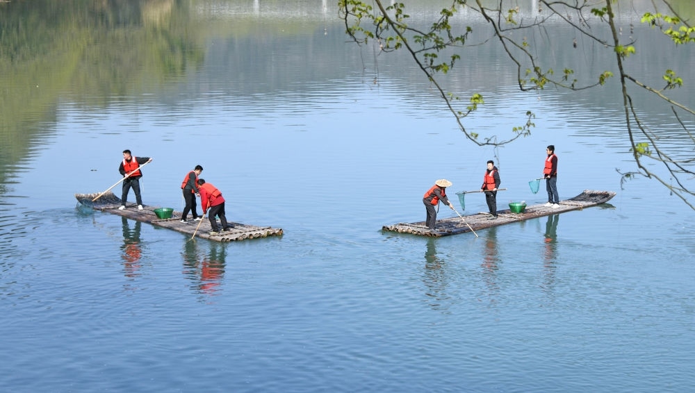 浙江省臺州市仙居縣步路鄉(xiāng)黨員志愿者與河長一起在永安溪巡河護水，清理雜物垃圾（2024年3月20日攝）。新華社發(fā)（王華斌攝）