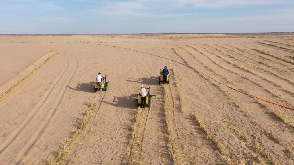 內(nèi)蒙古巴彥淖爾市烏拉特后旗西補隆林業(yè)管護中心職工駕駛機械鋪設(shè)壓沙障。新華社記者 李云平 攝