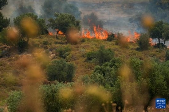 6月12日，以色列北部加利利地區(qū)遭受火箭彈襲擊后冒出滾滾濃煙。新華社發(fā)（阿亞爾·馬戈林攝/基尼圖片社）