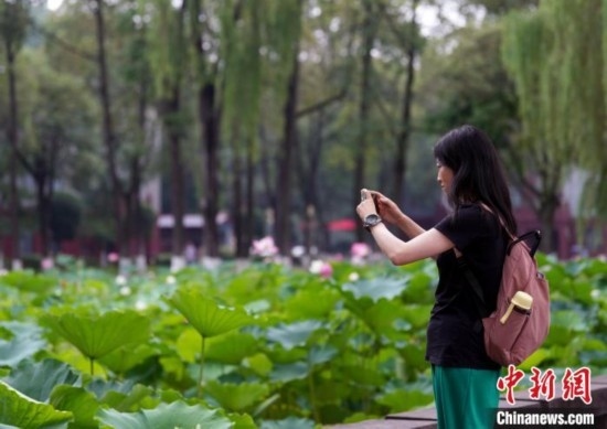6月19日，時(shí)值一年畢業(yè)季，四川大學(xué)望江校區(qū)荷花池里的荷花盛開，成為了畢業(yè)生們的打卡圣地，吸引了眾多畢業(yè)生拍照留念。圖為畢業(yè)生在荷花池邊拍照留念。中新社記者 安源 攝