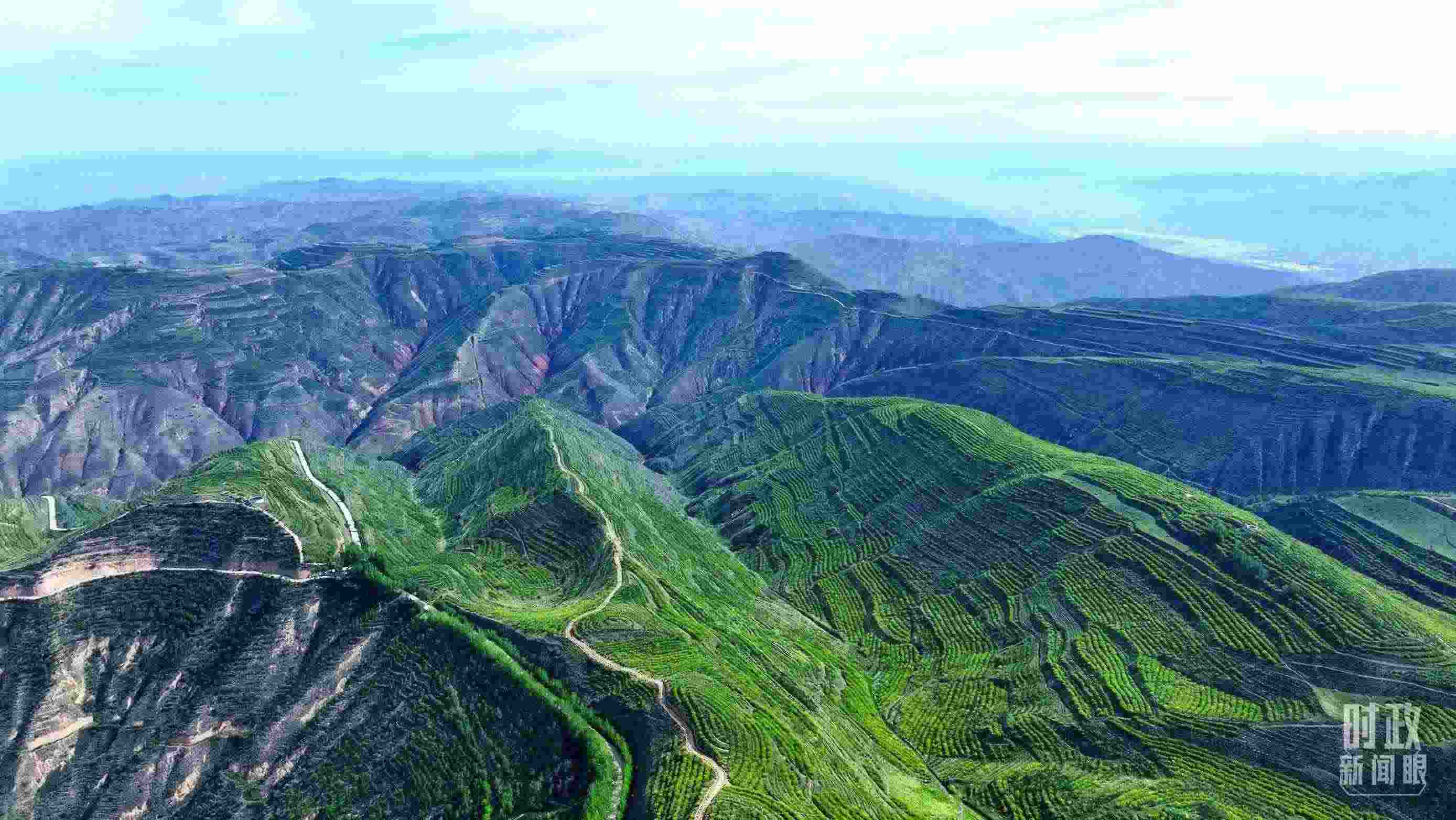 △青海西寧。（總臺(tái)記者柳成拍攝）