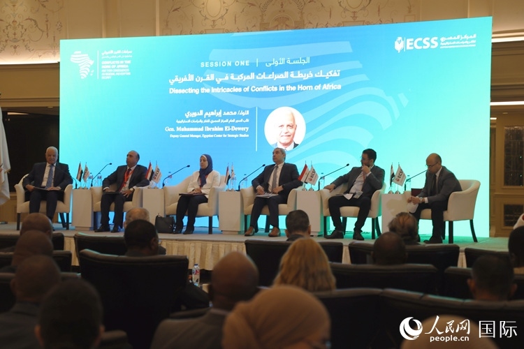 “非洲之角沖突及其對地區(qū)和埃及安全的影響”的研討會現(xiàn)場。沈小曉攝