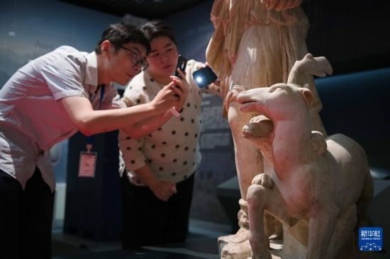 7月2日，安徽博物院工作人員在拍攝開箱后的古希臘文物。新華社記者 張端 攝