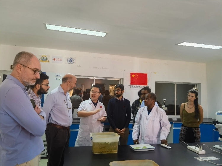 活動(dòng)現(xiàn)場。專家組供圖