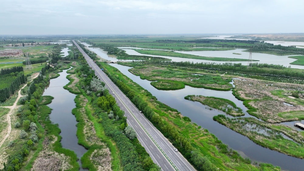 這是2024年6月13日拍攝的黃河寧夏段濱河大道（無人機(jī)照片）。近年來，寧夏努力建設(shè)黃河流域生態(tài)保護(hù)和高質(zhì)量發(fā)展先行區(qū)，全力打好黃河保護(hù)持久戰(zhàn)。新華社記者 王鵬 攝