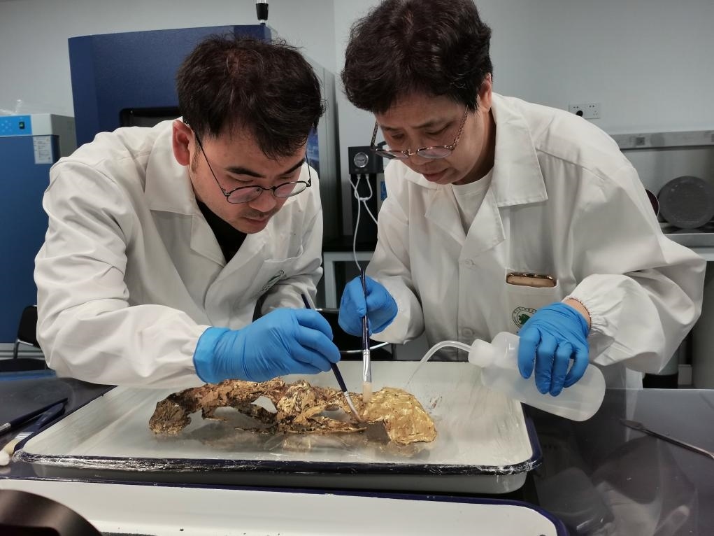 2023年7月，馬燕如（右）帶著魯海子（左）修復三星堆遺址出土的黃金面具。新華社發(fā)（四川省文物考古研究院供圖）