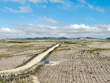 剛剛竣工的其白線穿沙公路。