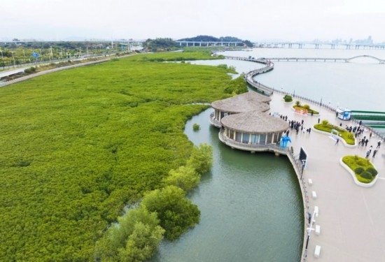 2024年1月23日拍攝的廈門市翔安區(qū)下潭尾紅樹林公園（無人機(jī)照片）。新華社記者 林善傳 攝