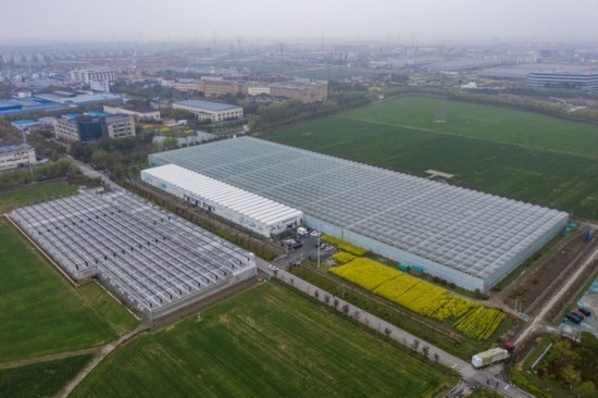 2024年3月28日，空中俯瞰嘉興南湖區(qū)湘家蕩農(nóng)業(yè)數(shù)字化工廠（無人機(jī)照片）。該農(nóng)業(yè)數(shù)字化工廠占地總面積約62畝，包含智慧農(nóng)業(yè)生產(chǎn)、物聯(lián)網(wǎng)智能管理、自動(dòng)分揀包裝、保鮮儲(chǔ)藏物流、高科技示范展示等五大功能區(qū)，可直接或間接培養(yǎng)帶動(dòng)新型職業(yè)技術(shù)農(nóng)民500人以上。新華社記者 徐昱 攝