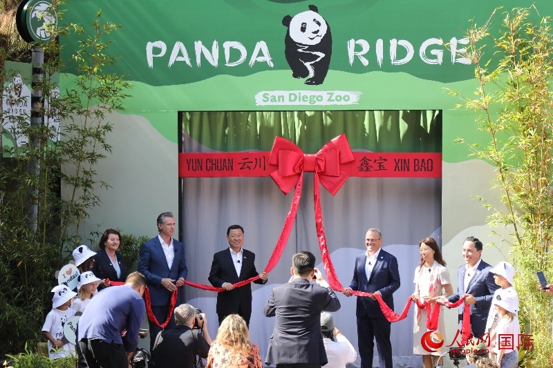 1、中國(guó)駐美國(guó)大使謝鋒、加州州長(zhǎng)紐森、圣迭戈市市長(zhǎng)格洛利亞等人共同為“熊貓嶺”開(kāi)館剪彩。 人民網(wǎng)記者 李志偉攝