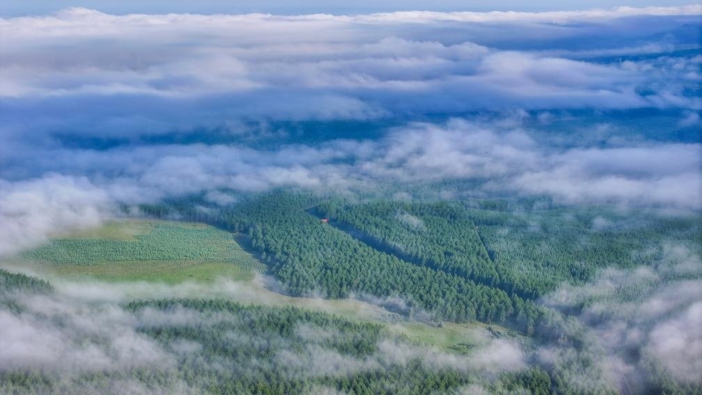 2024年7月26日拍攝的塞罕壩國家級(jí)自然保護(hù)區(qū)景色。新華社發(fā)（劉滿倉 攝）