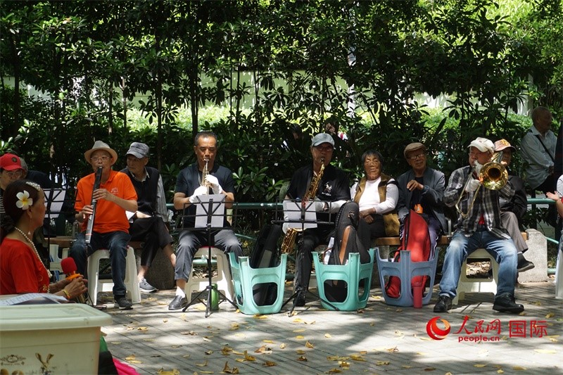 成都居民在公園里演奏歌曲。人民網(wǎng) 王禹蘅攝