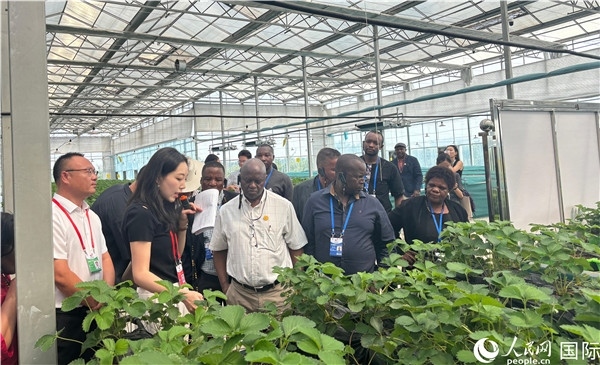 研討班成員在大棚中了解植物種植技術(shù)。人民網(wǎng) 曹欣悅攝