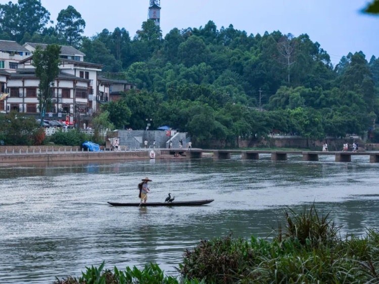 蘇稽古鎮(zhèn)的漁民在進(jìn)行魚鷹捕魚表演。本報(bào)記者 伊霄攝